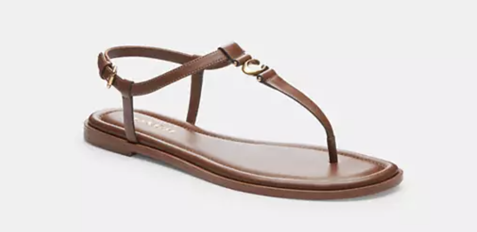 Screenshot 2025 03 14 at 11 37 45 AM